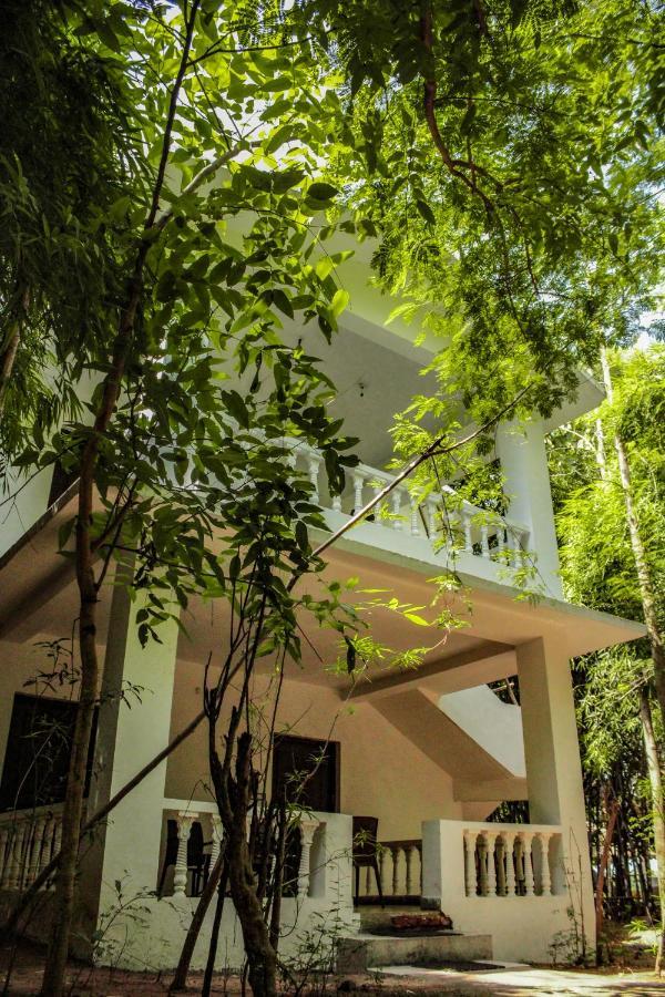 Panna Tiger Resort- Riverside Property Rajgarh  ภายนอก รูปภาพ