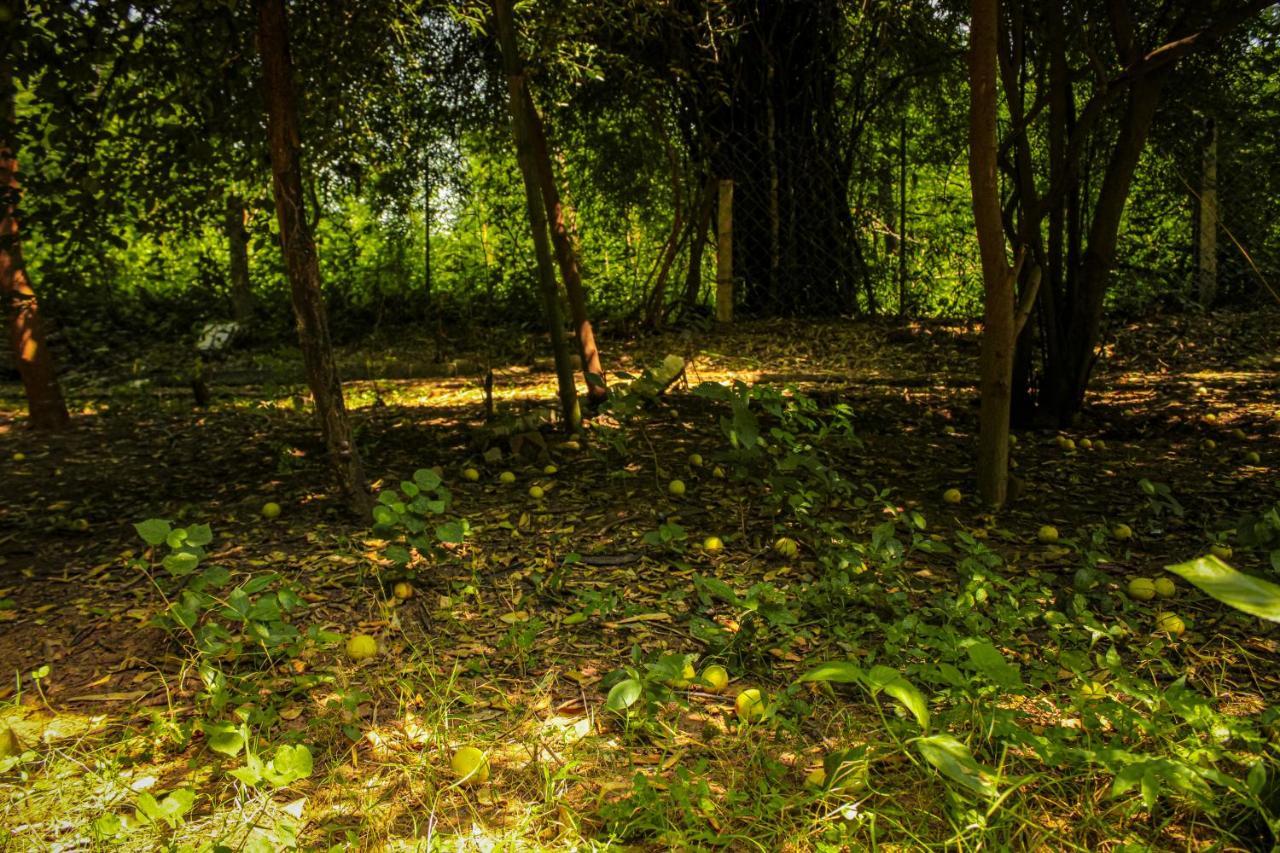 Panna Tiger Resort- Riverside Property Rajgarh  ภายนอก รูปภาพ