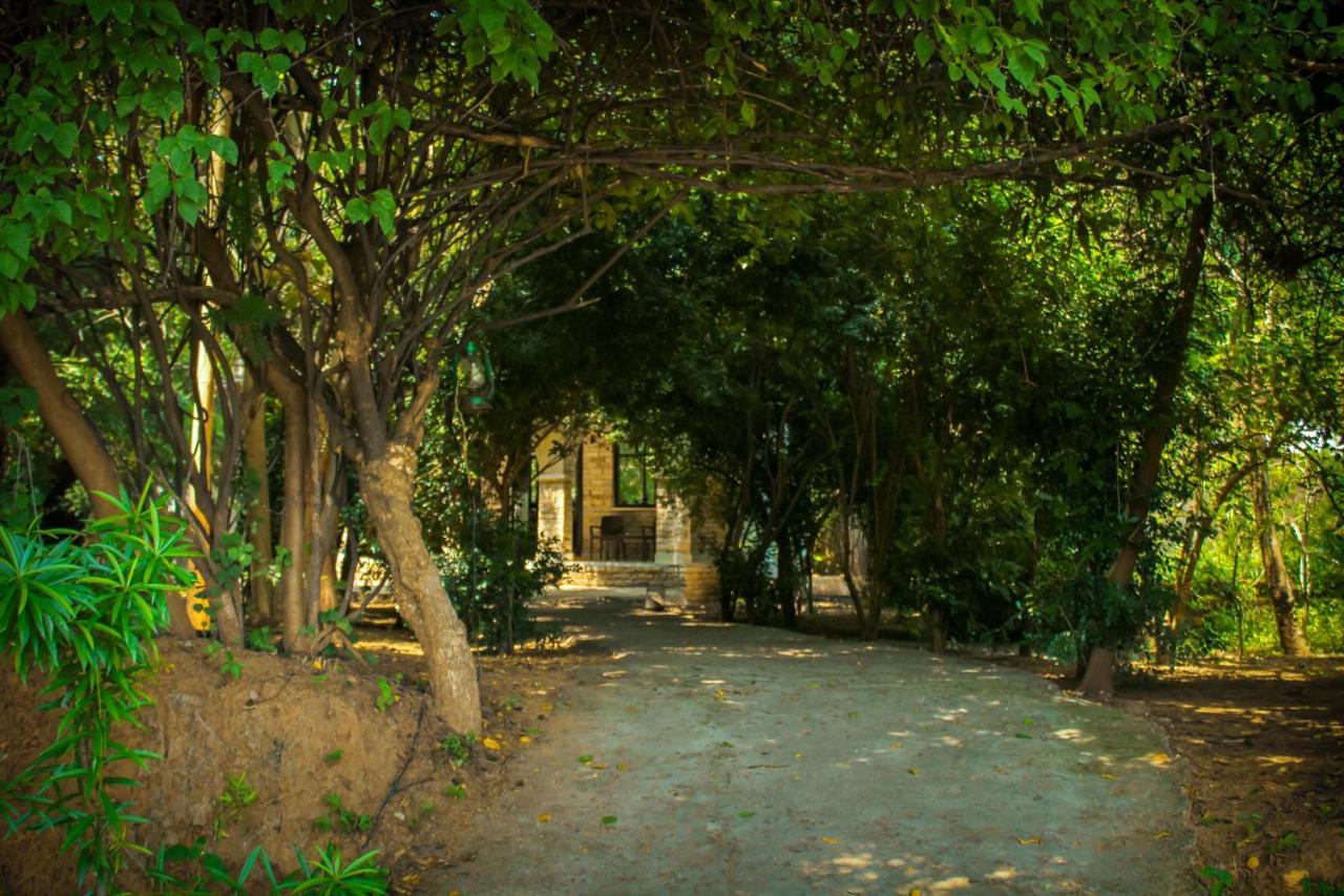Panna Tiger Resort- Riverside Property Rajgarh  ภายนอก รูปภาพ